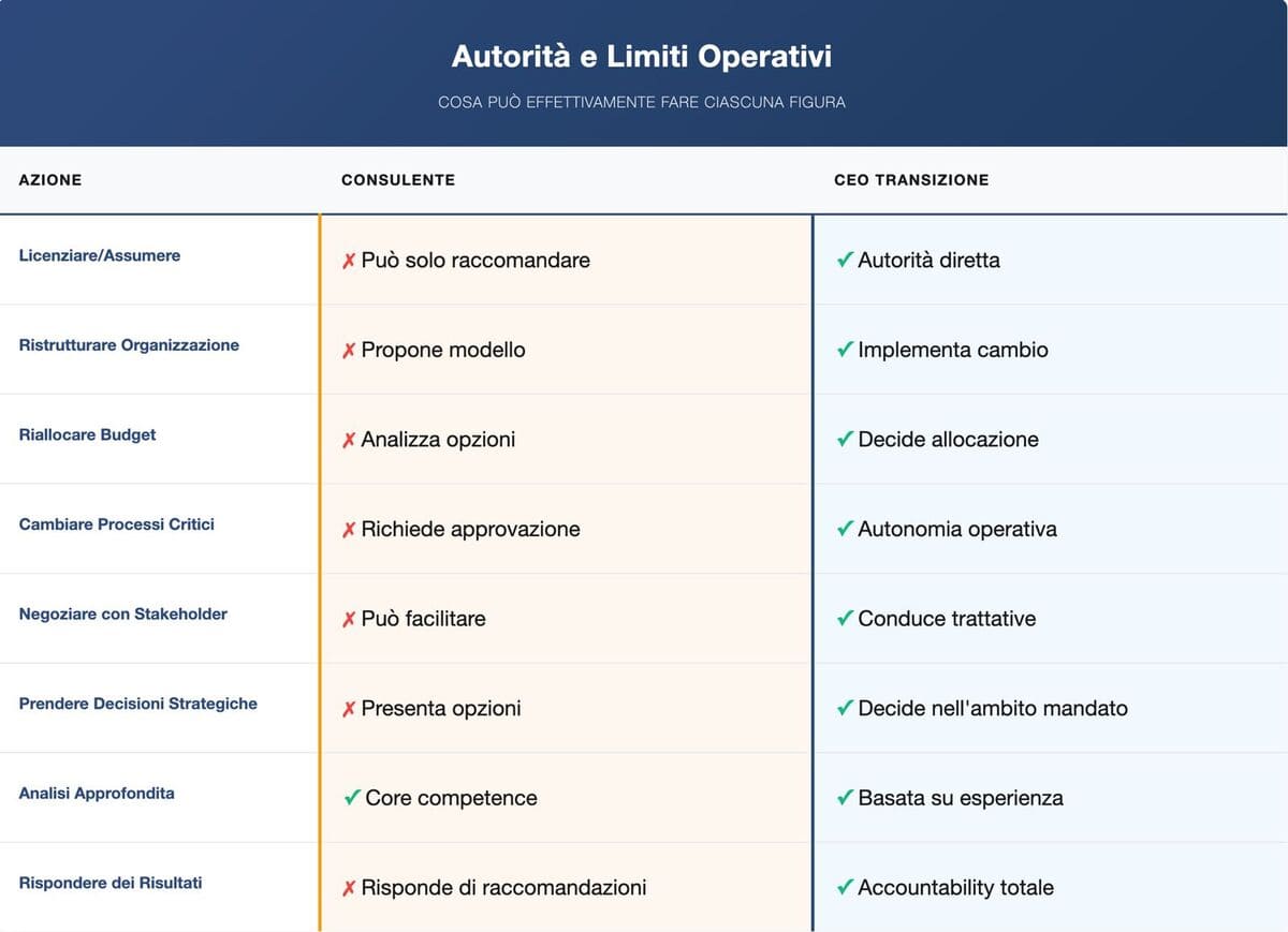 differenze ceo di transizione consulente - autorità